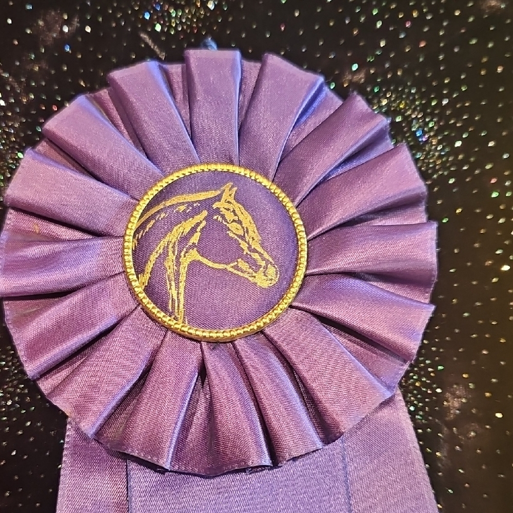3 original from 1965 1967 NM Albuquerque State Fair Horse Show ribbons rosettes - Picture 9 of 13